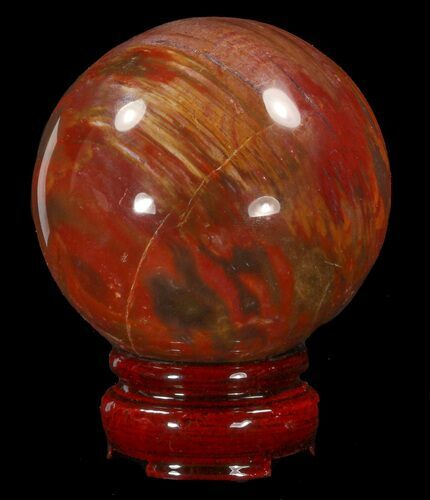 Colorful Petrified Wood Sphere #41936